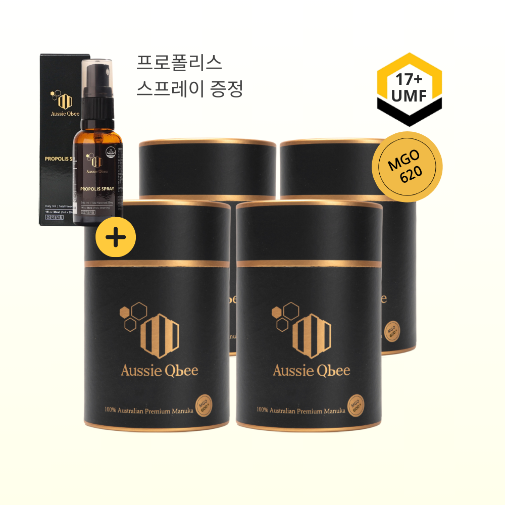 오지퀸비 마누카꿀 스틱 MGO600+30개입 360g, 4개 - 상품 이미지