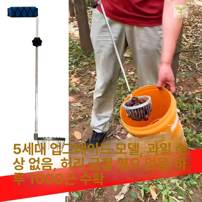 밤 줍는 집게 호두 밤줍기 스텐 매실 밤줍는기계 5세대 심플 두꺼운 - 상세 이미지 2