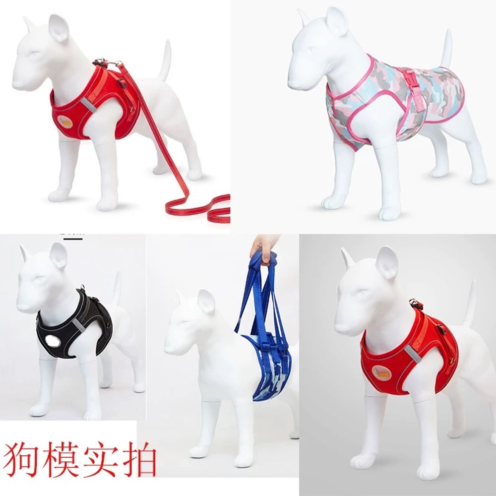 강아지 마네킹 소형견 옷걸이 모델 옷가게 가게 - 상세 이미지 3
