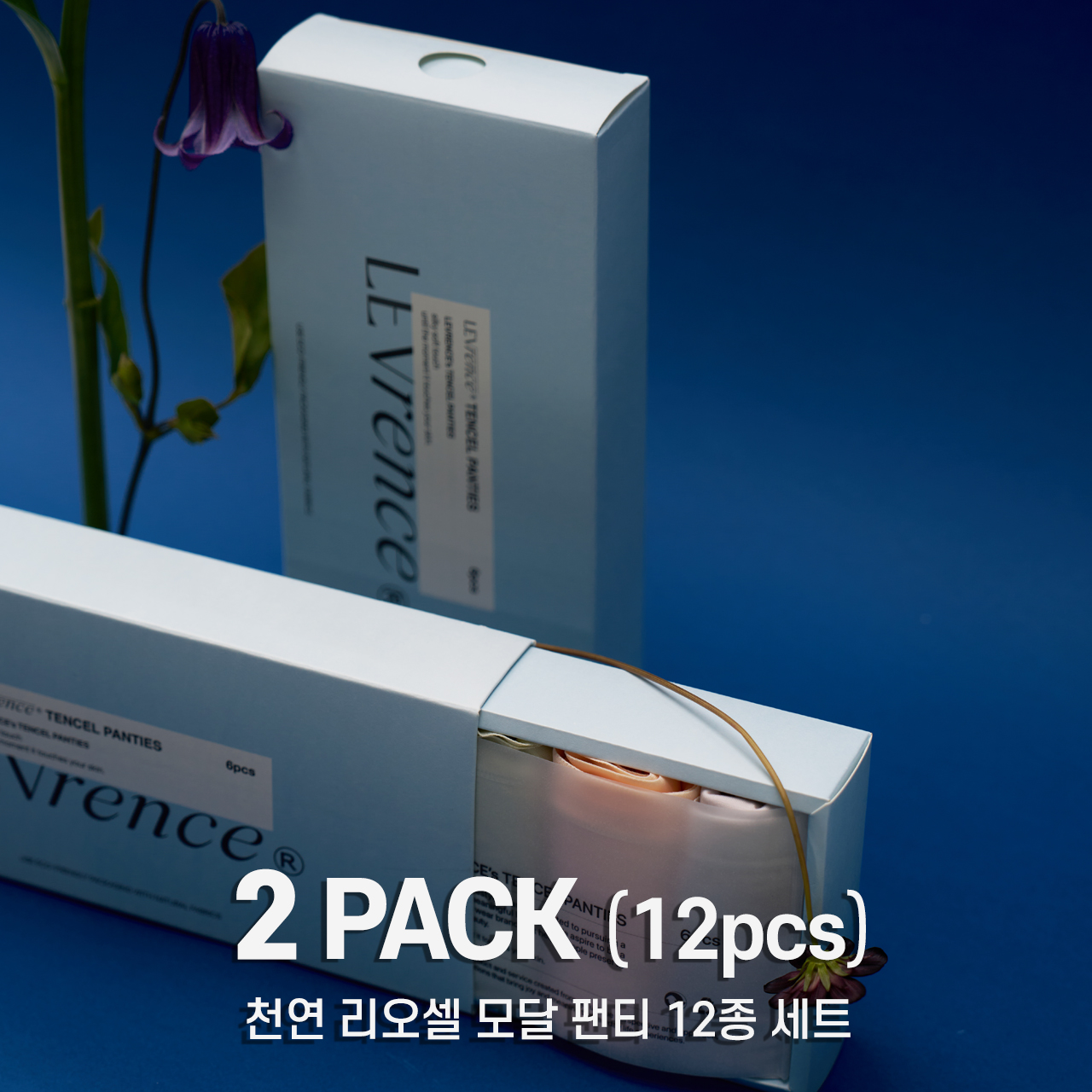 [2 Pack, 박스포장] 팬티 12개입 레브렌스 쿨라또 6종 세트 천연 텐셀 모달 팬티 - 상품 이미지