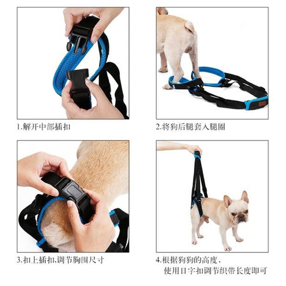노령견 보조기 수술 노견 산책 슬개골 리프트 - 상세 이미지 4