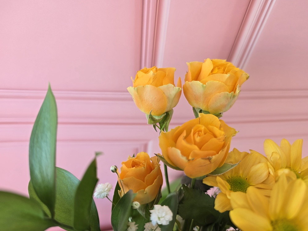 유스풀몰 이달의꽃 소형 꽃배달 꽃 생화 택배 정기구독