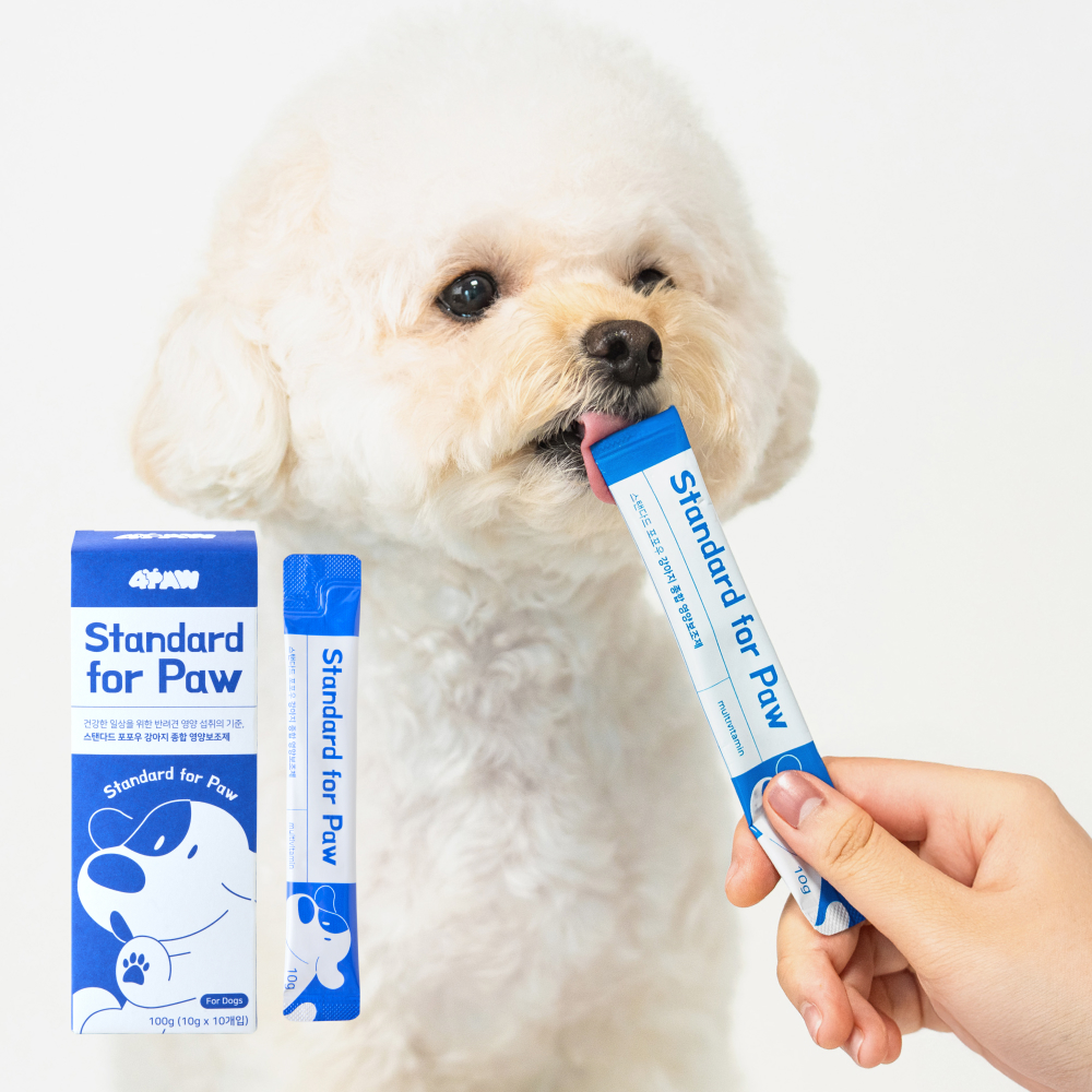 펄송 스탠다드 포포우 강아지 종합영양제 10개입, 3개 이미지 4