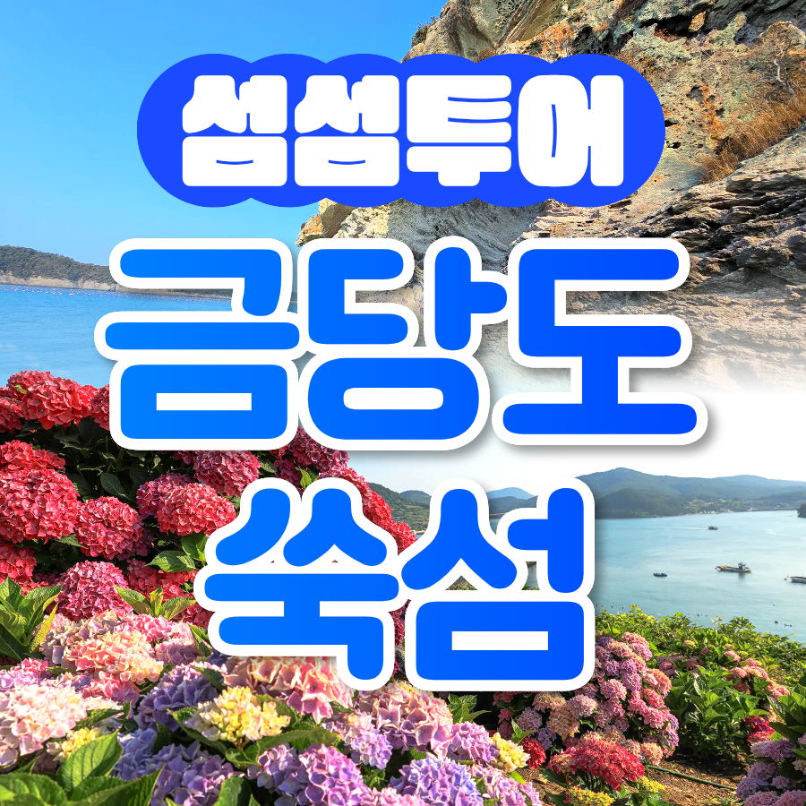 KTX 고흥 쑥섬 수국 금당도 팔영산 편백치유의숲 1박2일 국내 패키지 기차여행 - 상품 이미지