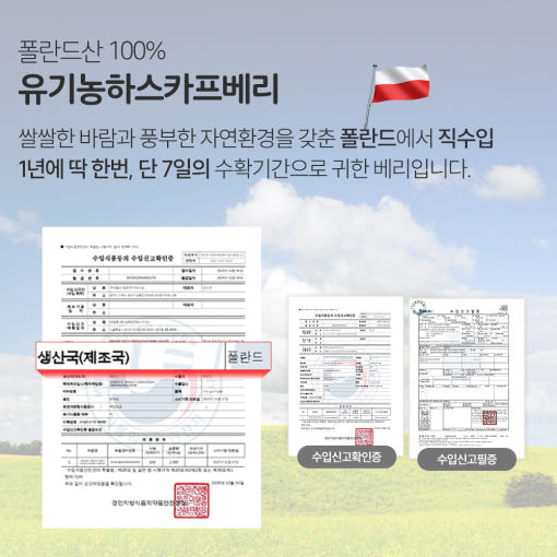 바디프로젝트 유기농 동결건조 하스카프베리 분말 효능 30g, 1개 : bodyproject