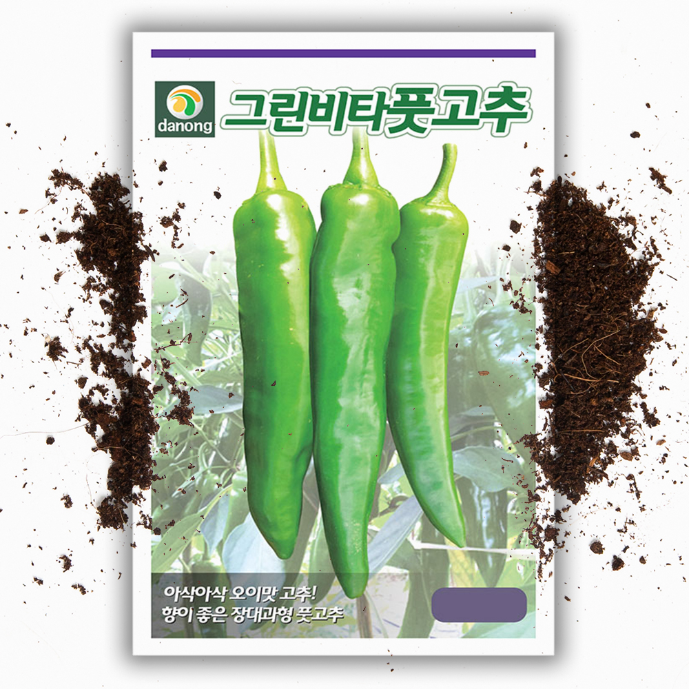 오이 고추씨앗 50립 그린비타 장대형 아삭한 오이 고추 종자 씨 - 상품 이미지