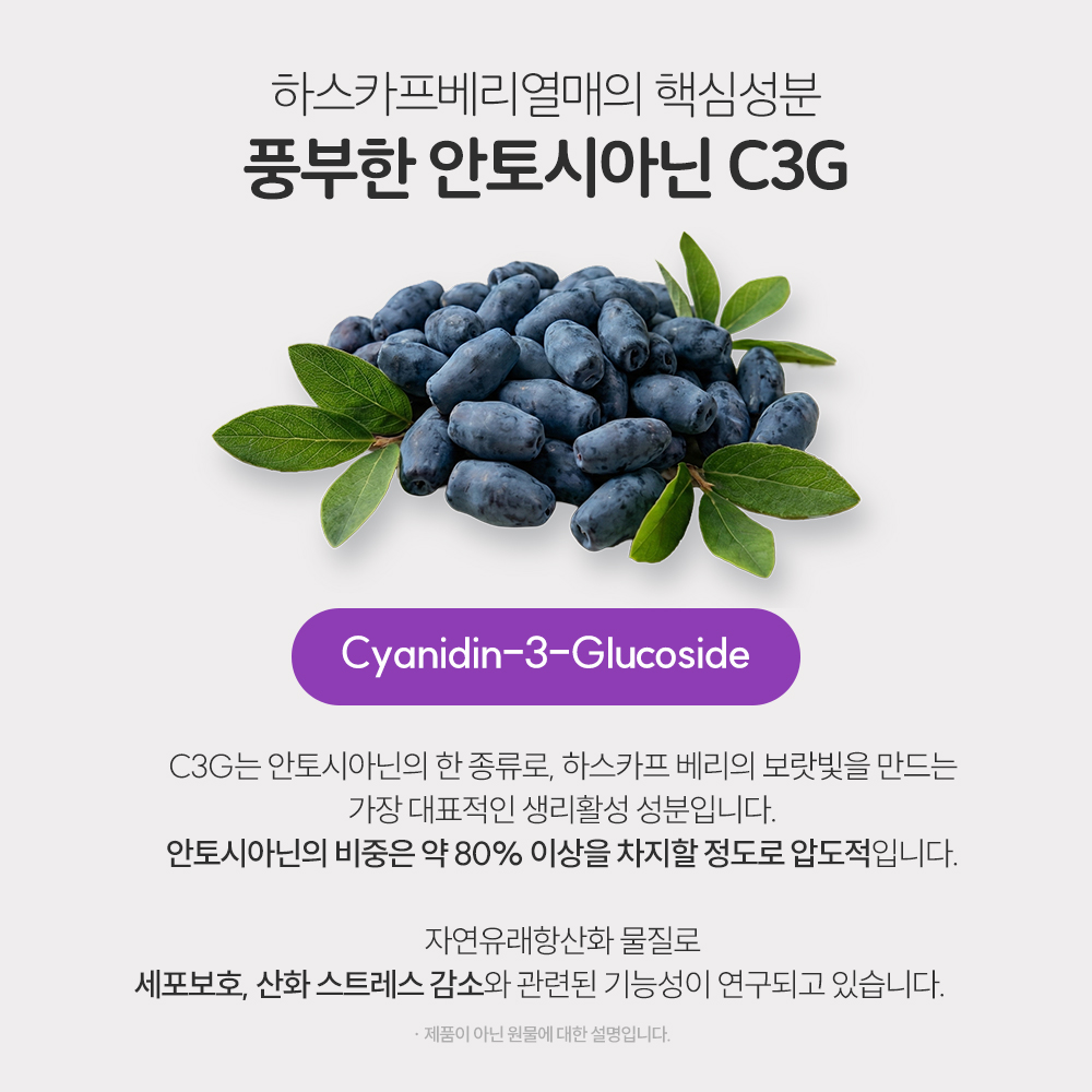 바디프로젝트 유기농 동결건조 하스카프베리 분말 효능 30g, 1개 이미지 2