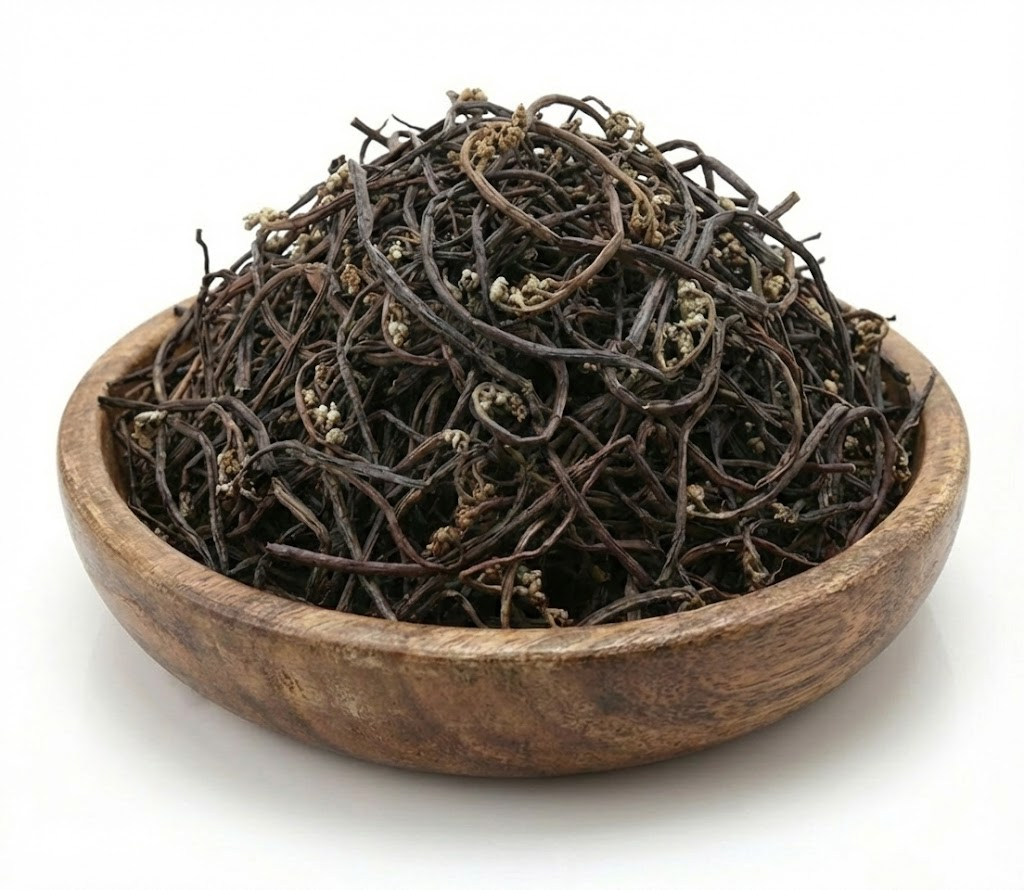 건고사리 건고사리 맛집 건고사리 직배송 건고사리 활용법 건고사리 리뷰