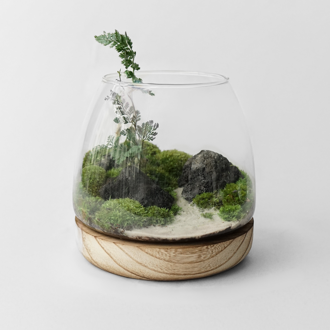 이끼 숲 테라리움 C TYPE 유치원소녀 테라리움 DIY 키트 이미지 1