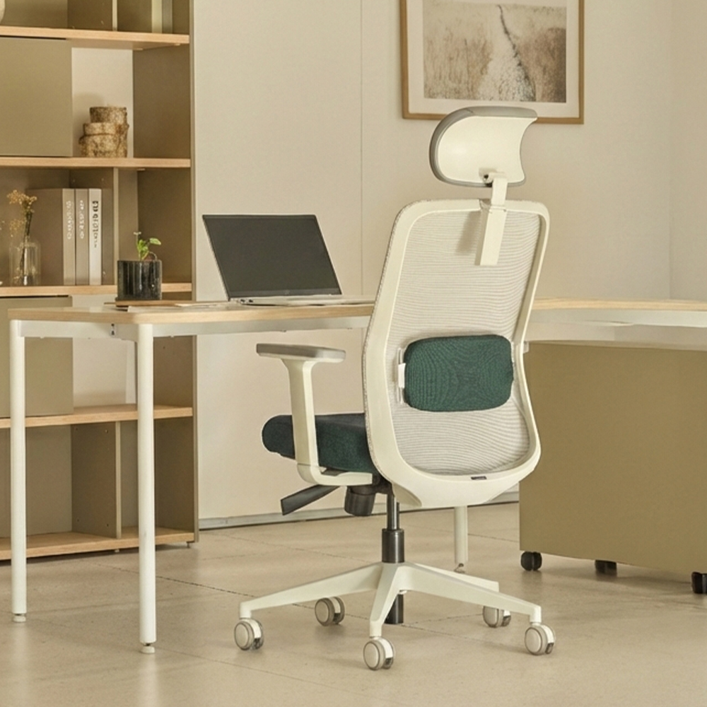 [N희망일배송][슈퍼적립]듀오백 솜 SOAM 여성용 사무 낮은 컴퓨터 허리편한 책상의자