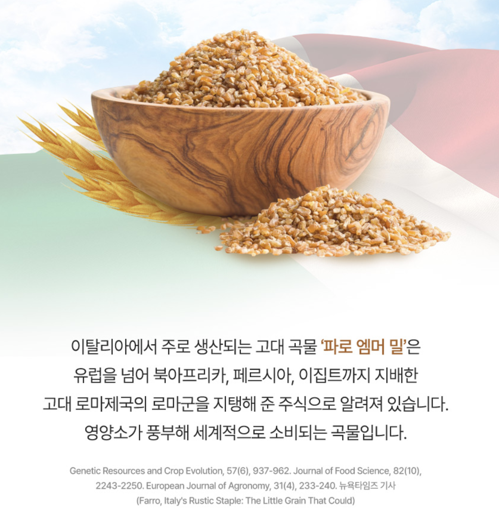 고역가수치효소 파로엠머밀효소 탄수화물분해 이미지 6
