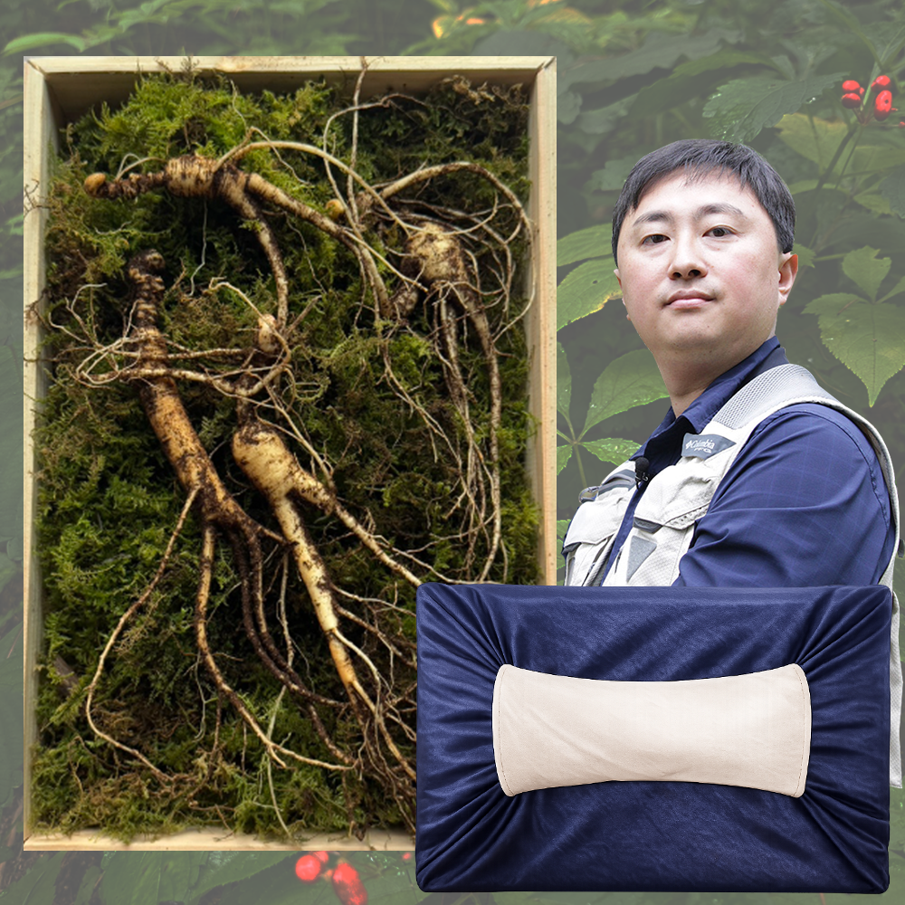 산삼 산양삼 장뇌삼 10년근 뇌두5개이상 3뿌리 선물세트 유재덕의산양산삼 제품 이미지