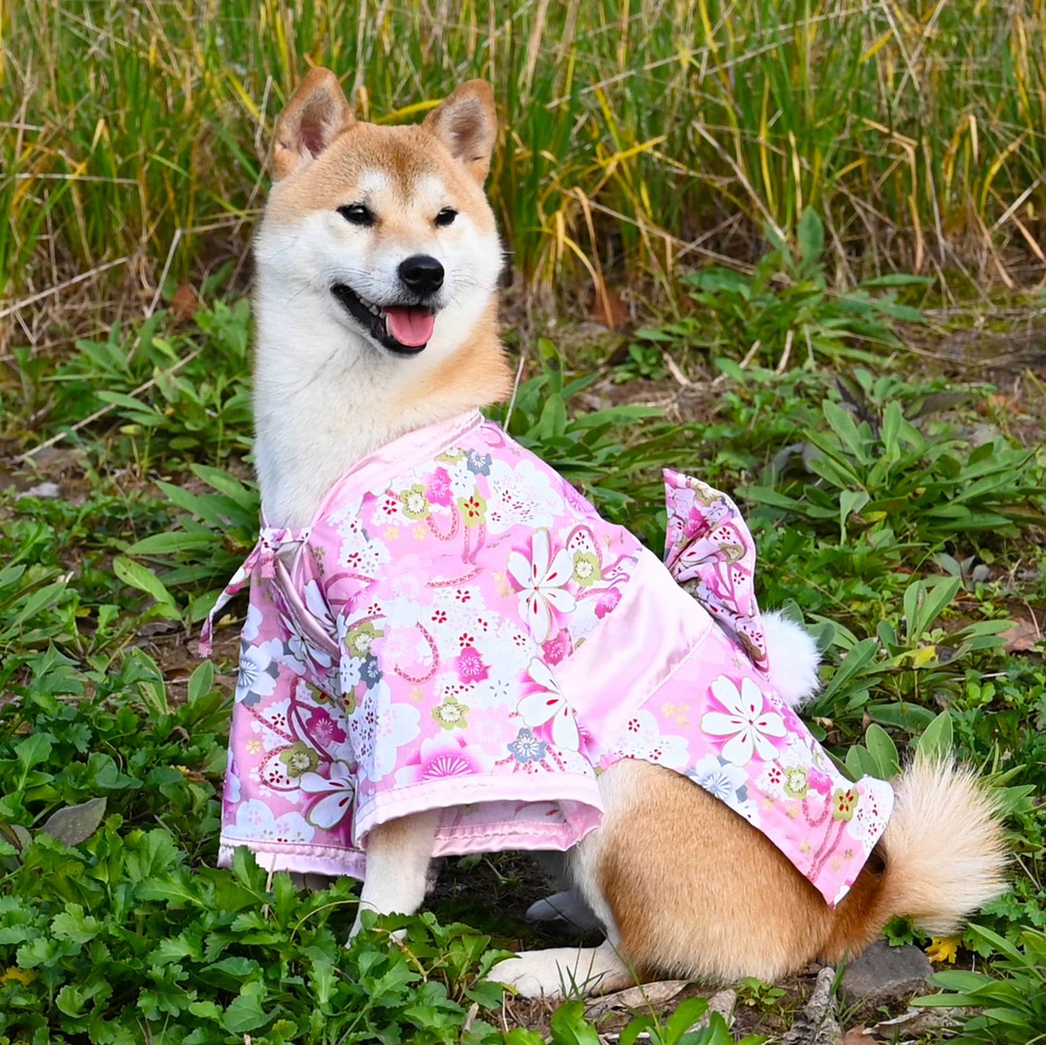 강아지 유카타 소형견 의상 반려견 벚꽃 패턴 생일파티 웨이브 패턴 S 가슴둘레32 - 40cm 2.5 5.0kg - 상세 이미지 3