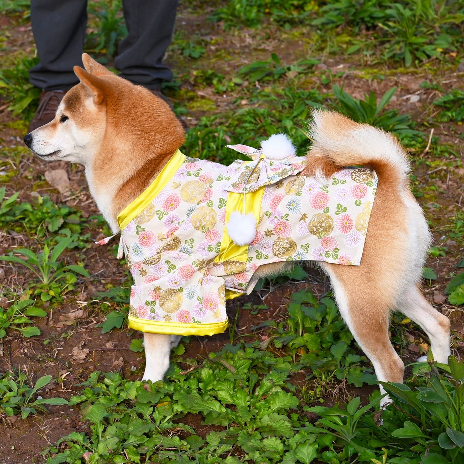 강아지 유카타 소형견 의상 반려견 벚꽃 패턴 생일파티 웨이브 패턴 S 가슴둘레32 - 40cm 2.5 5.0kg - 상세 이미지 4