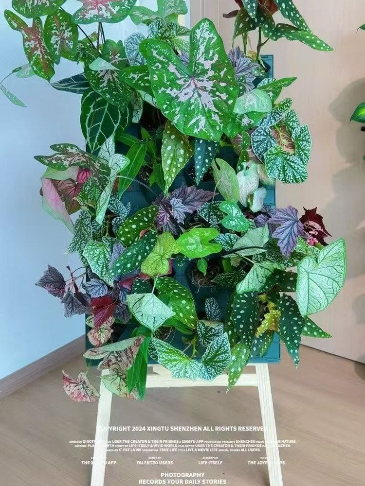 벽걸이 화분 플랜트월 5단 로비 실내 인테리어 10cm 허니콤 (녹색 4개) - 상세 이미지 3