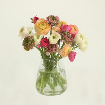 (BEST)라넌큘러스(7colors)ㅣ겨울 봄 제철꽃 생일 탄생화 웨딩부케 셀프촬영 돌상 백일상 기념일 선물 생화배송 꽃다발 정기구독 이미지 2