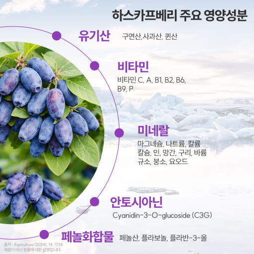 바디프로젝트 유기농 동결건조 하스카프베리 분말 효능 30g, 1개 : bodyproject