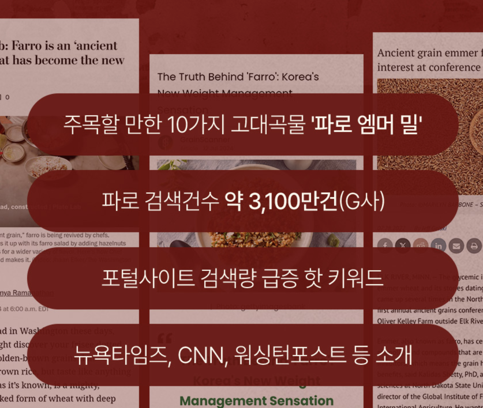 고역가수치효소 파로엠머밀효소 탄수화물분해 이미지 8