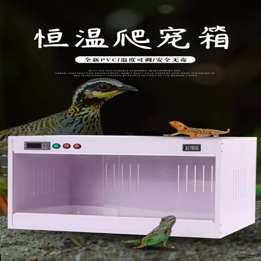 파충류 하우스 자동온도조절 소라게 도마뱀 뱀 거북이 육지 - 상세 이미지 2