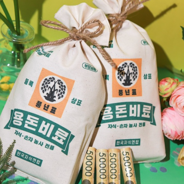 비료 용돈 돈 현금 봉투 효도 반전 용돈 이벤트 박스 어버이날 선물 부모님 생일 생신 포장 - 상품 이미지