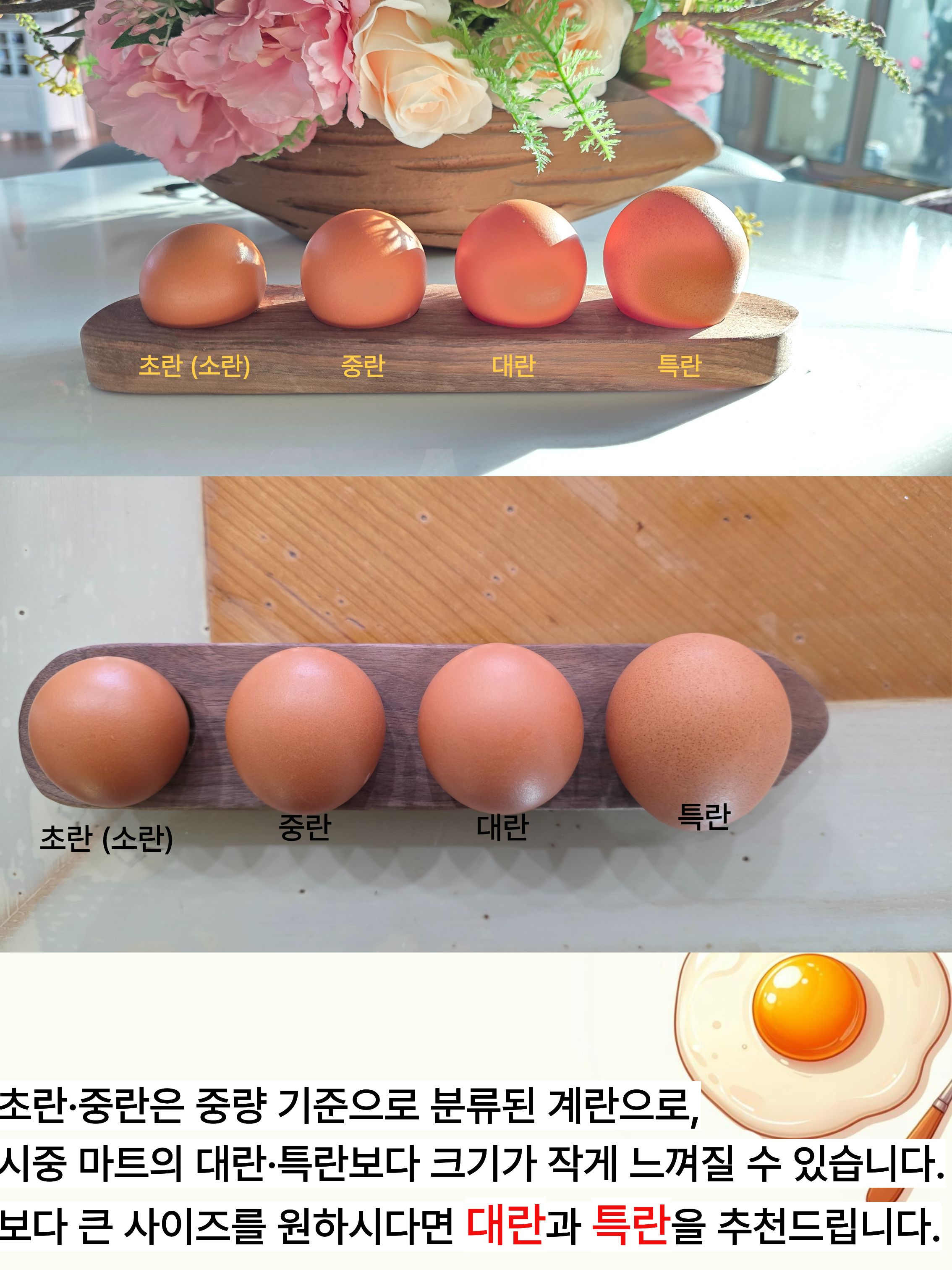 [성우농장] 난각 2번 성우담은란 동물복지 무항생제 당일산란한 대추유정란 30구 이미지 3