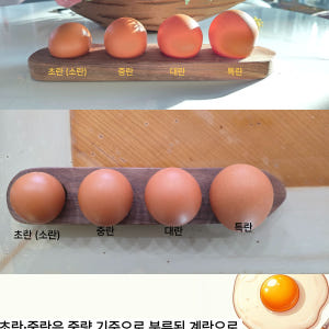 [성우농장] 난각 2번 성우담은란 동물복지 무항생제 당일산란한 대추유정란... 맛있게 먹은 솔직 후기 - 상품 이미지 3