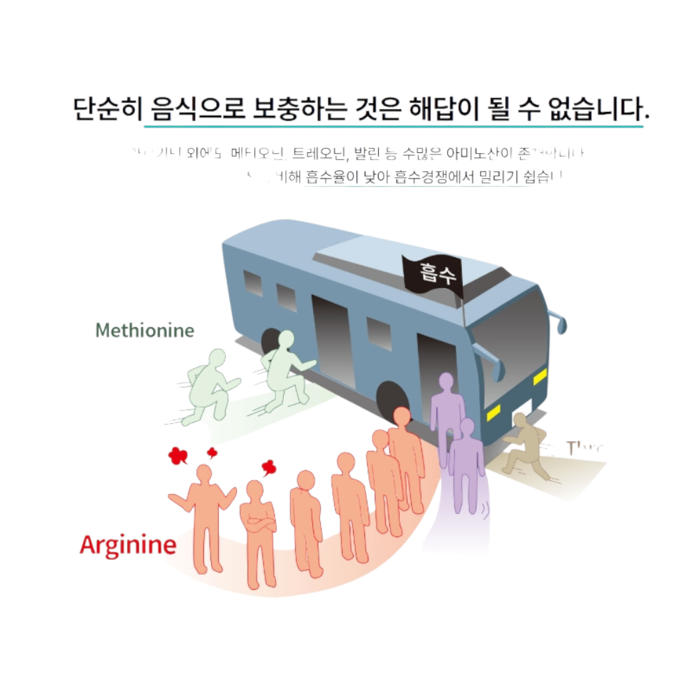 류신 블랙마카 아르기닌 3중 배합 근육 특허 원료 정제 60정, 2개 - 상세 이미지 5