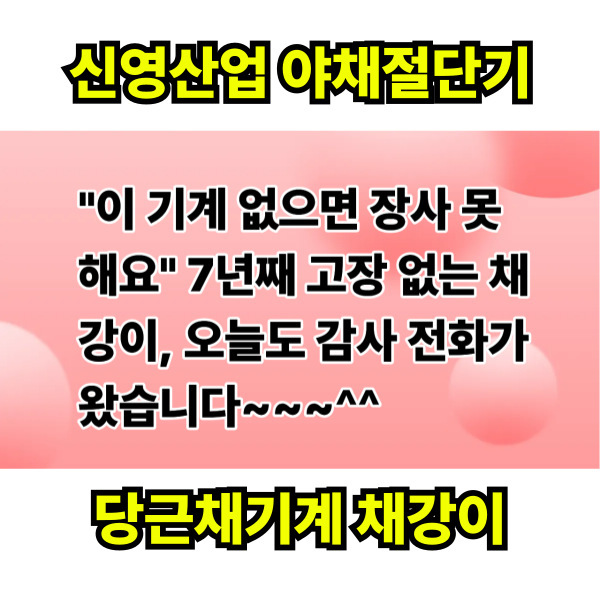 신영산업-국산야채절단기 채강이(SY-6096) 채써는기계 당근채 오이채 무생채 슬라이서 - 상세 이미지 2