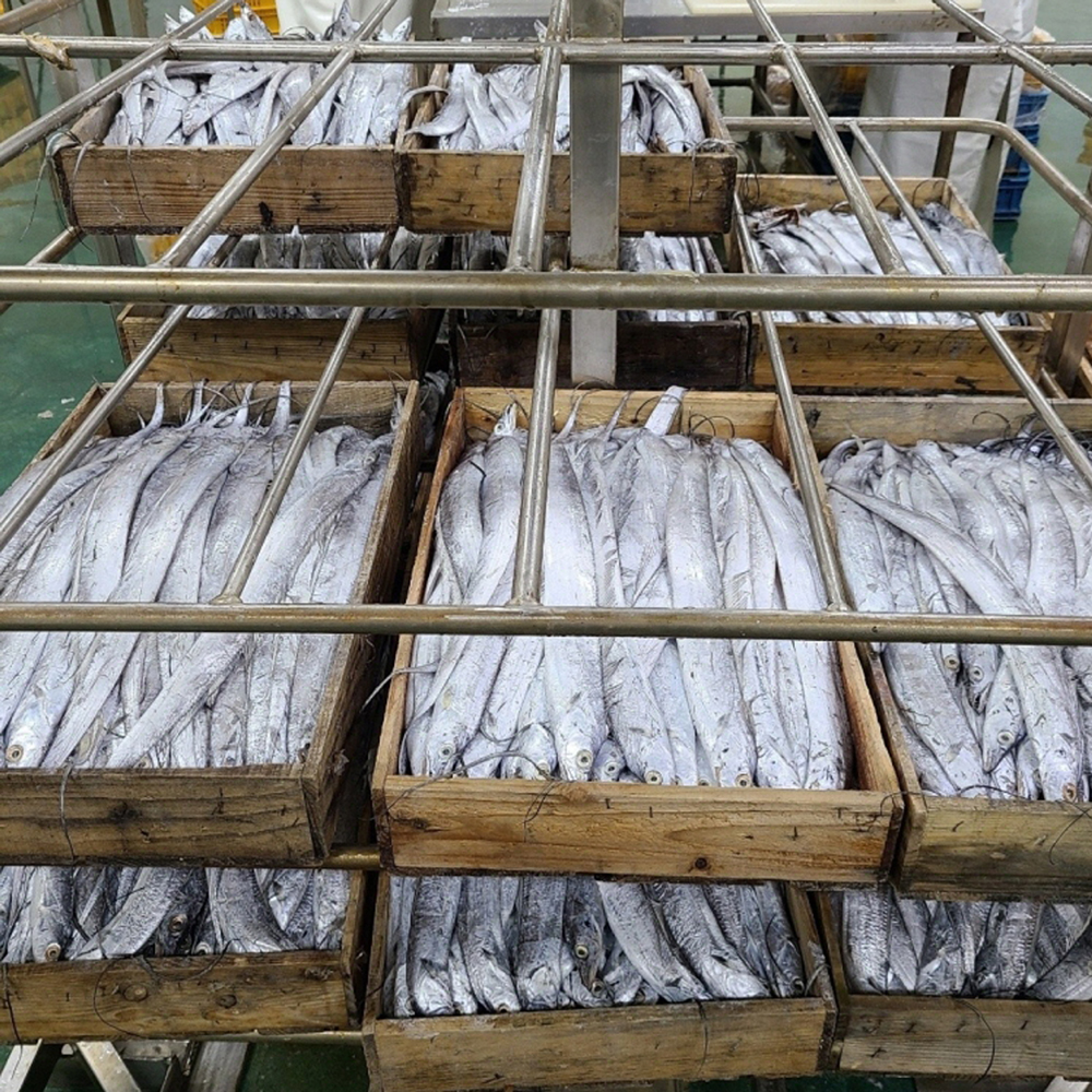 여수 순살갈치 1kg (4팩) 뼈없는갈치구이 조림 손질병어늘초록길목 - 상세 이미지 3