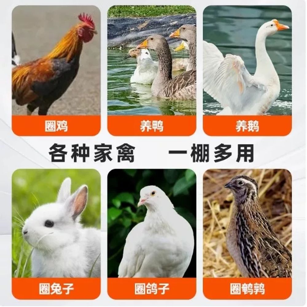 야외 대형 메쉬 만들기 병아리 철망 닭장 사육장 조립형 - 상세 이미지 5