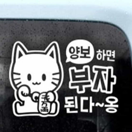 [컬러웨이브OEM]캔캔토토 자동차스티커 양보하면 부자된다옹 초보운전 화이트 사고방지 초보운전마크 안전스티커