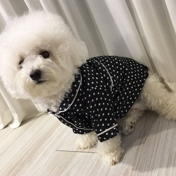 반려견 강아지 실내복 파자마 강아지 잠옷 여름 생활복