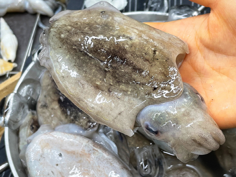 당일바리 생물갑오징어 1kg 2-3미/손질갑오징어1kg - 상품 이미지