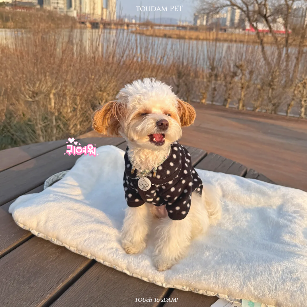 뚜담펫 강아지 땡땡이 후리스 자켓 고양이 겨울옷 이미지 7