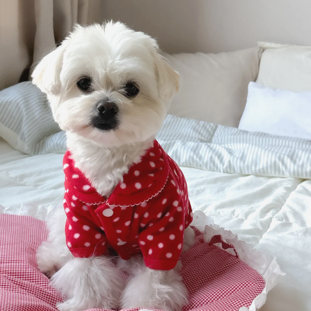 뚜담펫 강아지 땡땡이 후리스 자켓 고양이 겨울옷 - 상품 이미지