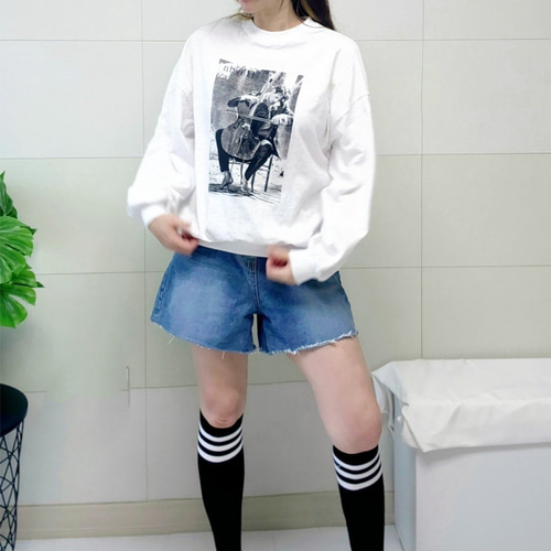 (국산면원단/국내자체생산) T1015 첼로 맨투맨 티셔츠 20대30대여성의류 - 상세 이미지 2