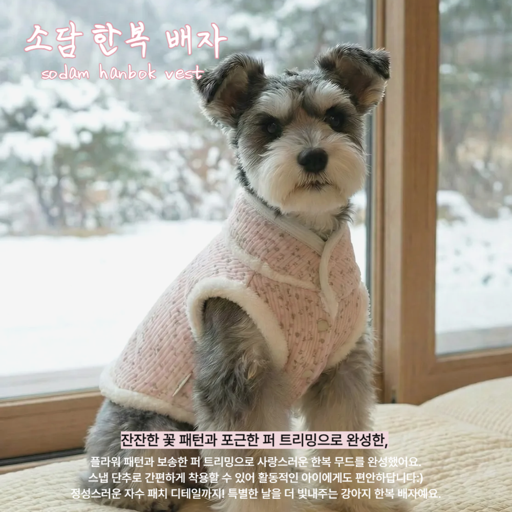 뚜담펫 강아지겨울한복 강아지 고양이 설빔 한복 - 상세 이미지 2