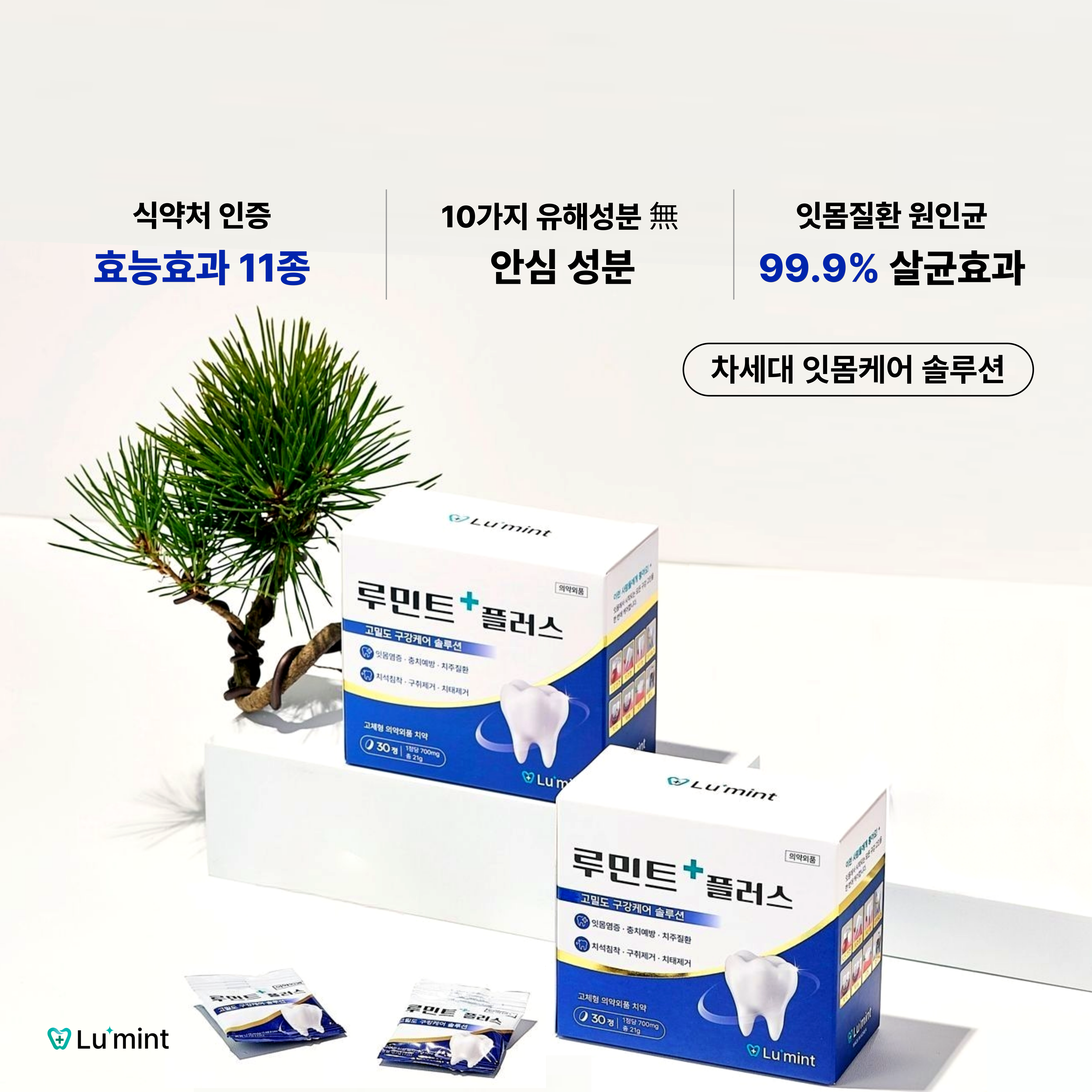 루민트 플러스 고체치약 300정 대용량 (10박스 + 칫솔10개 + 쇼핑백) - 상세 이미지 2