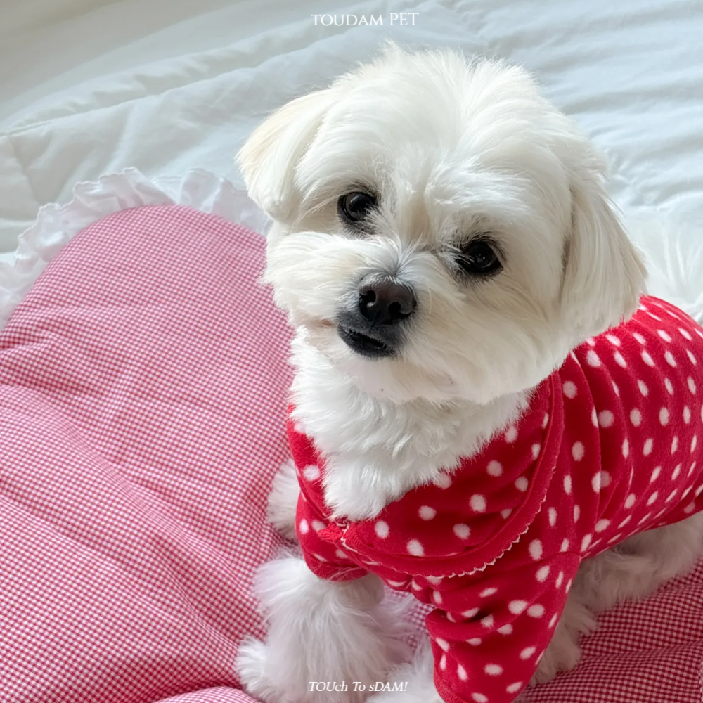 뚜담펫 강아지 땡땡이 후리스 자켓 고양이 겨울옷 - 상세 이미지 4