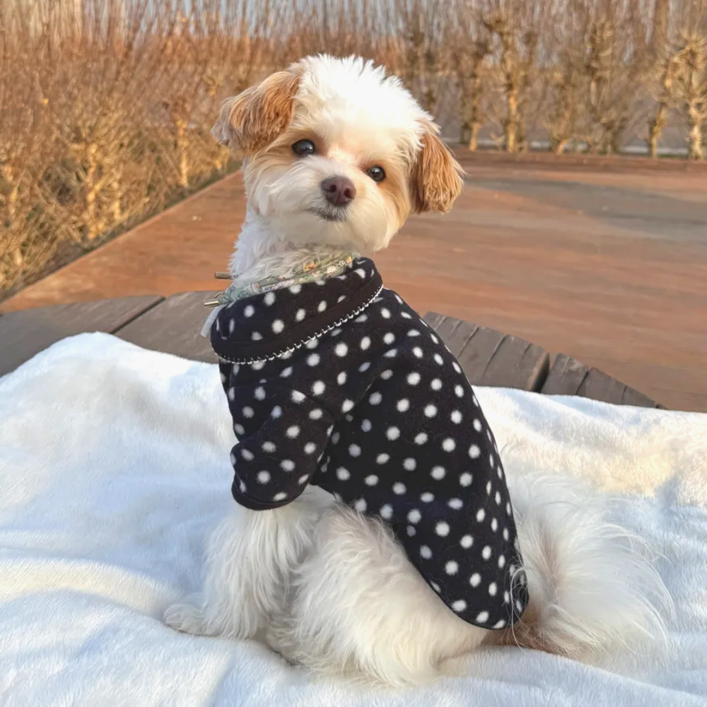 뚜담펫 강아지 땡땡이 후리스 자켓 고양이 겨울옷 - 상세 이미지 2