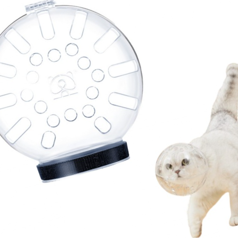 고양이 UFO 플라스틱 중성화 물림방지 넥카라 목카라