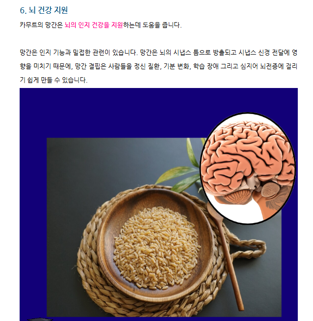카무트 효소 프리미엄 100만 역가 효능 고소한 인절미맛 소화잘되는 발효 400g, 1개 이미지 6