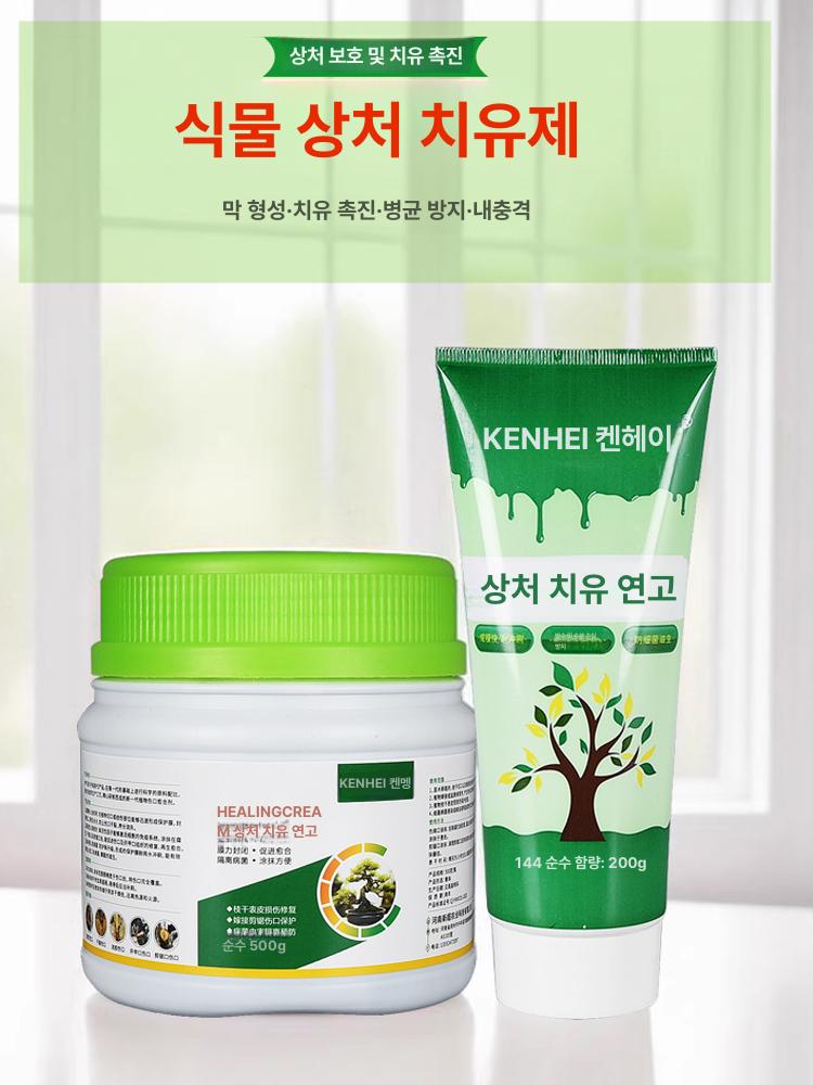 수목 상처보호제 전정 상처 분재 나무 도포제 접목 식물 200g 그린 - 상세 이미지 2