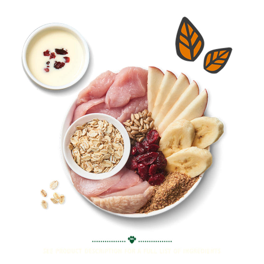 (사은품 증정) 릴리스키친 오븐베이크 저지방 브랙퍼스트 크런치 귀리+닭고기, 800g, 1개 이미지 3