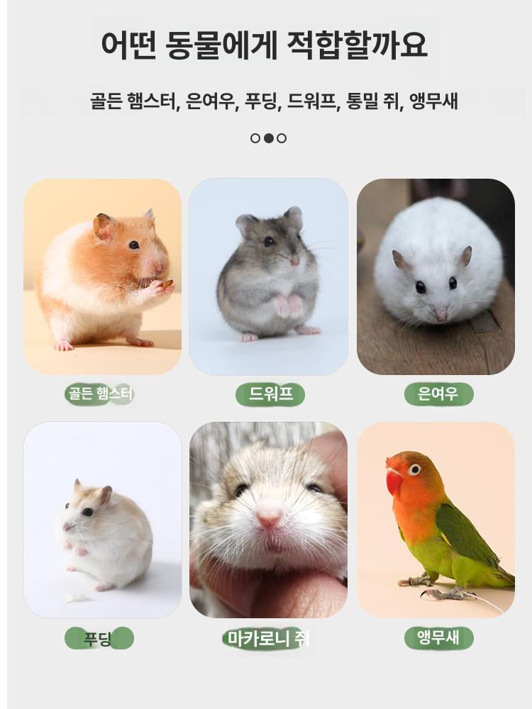 급식기 챗바퀴 피더 운동 휠 사료 소동물 용품 공급 21cm 무소음 러닝휠 어드밴스드 그레이 - 상세 이미지 5