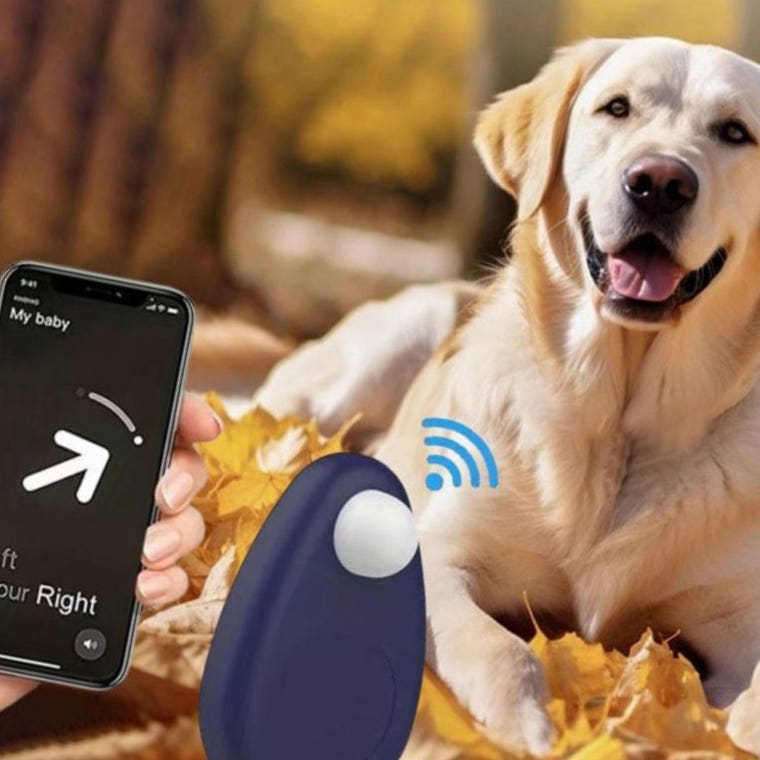 반려동물 GPS 케이스 이미지