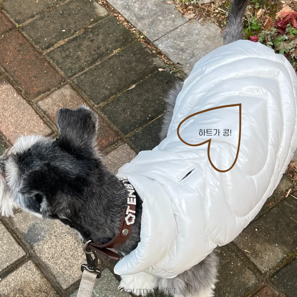 뚜담펫 견주 강아지 커플패딩 강아지 고양이 발열패딩