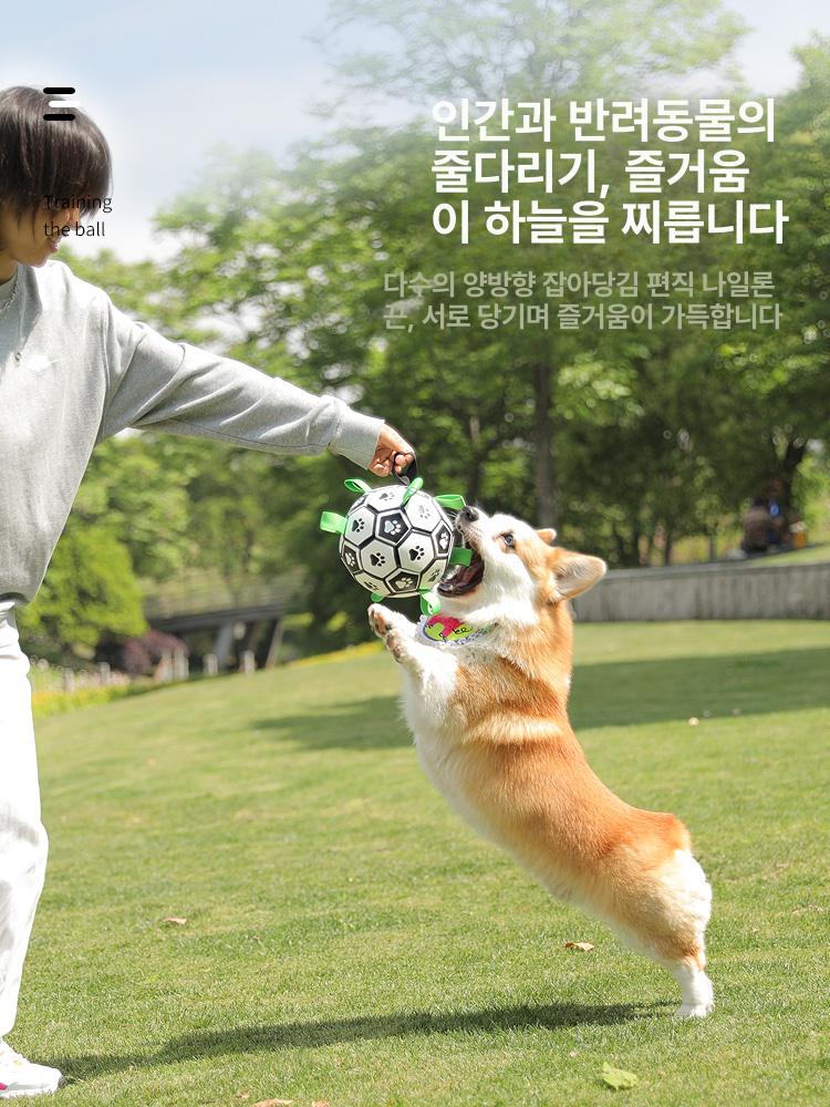 강아지 공 자가놀이 훈련용 운동볼 공놀이 축구공 삑삑이 벨소리 M 19cm 중대형견 - 상세 이미지 3