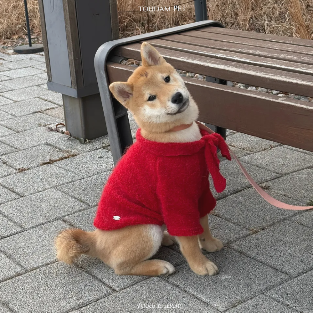 뚜담펫 강아지 고양이 겨울 울 리본 니트 강아지 선물 - 상세 이미지 3