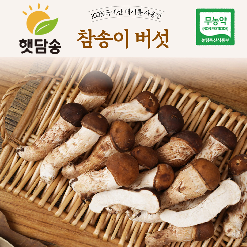[햇담송]국내산 친환경 참송이버섯 3등급 2등급 대사이즈 500g 1kg 송화 버섯 무농약 - 상세 이미지 3